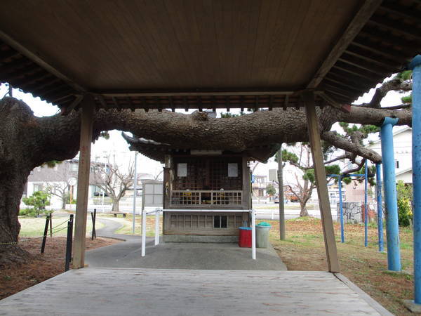 f:id:midorineko_cutter_mat:20191231153105j:plain