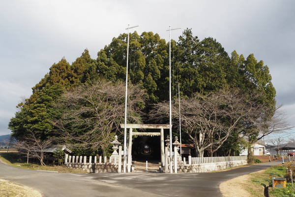 f:id:midorineko_cutter_mat:20200102201544j:plain