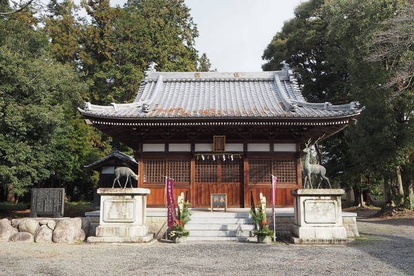 f:id:midorineko_cutter_mat:20200102201627j:plain