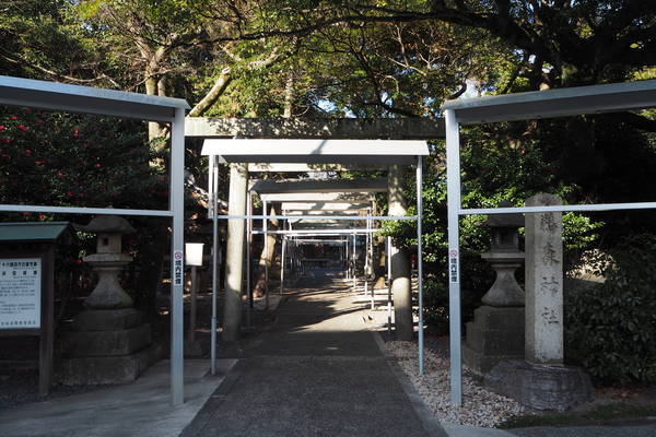 f:id:midorineko_cutter_mat:20200109173739j:plain
