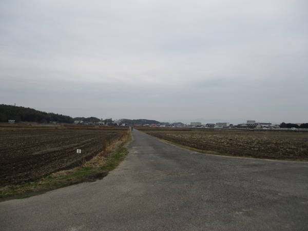 f:id:midorineko_cutter_mat:20200112234743j:plain