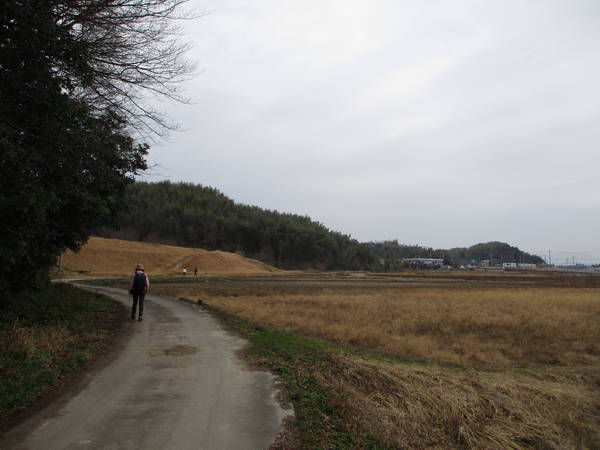 f:id:midorineko_cutter_mat:20200113095337j:plain