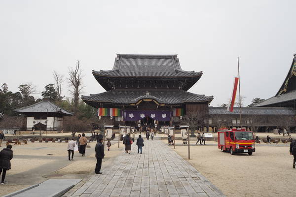 f:id:midorineko_cutter_mat:20200113105751j:plain
