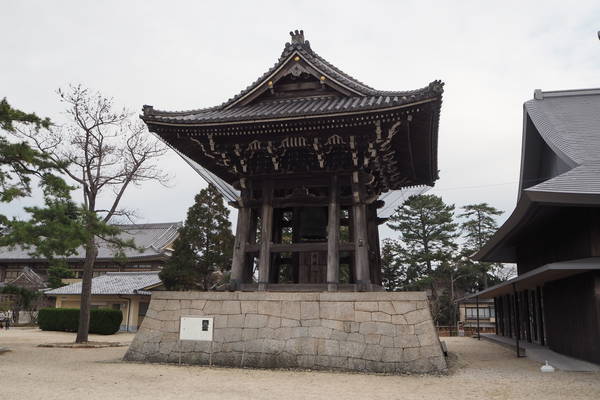 f:id:midorineko_cutter_mat:20200113105805j:plain