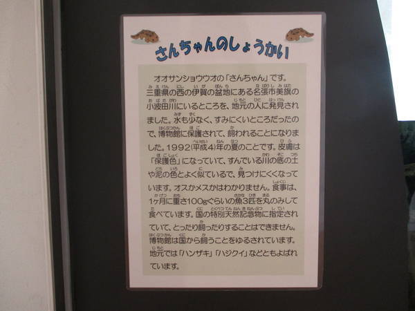f:id:midorineko_cutter_mat:20200208161848j:plain