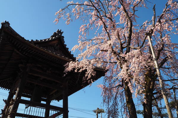 f:id:midorineko_cutter_mat:20200323183929j:plain