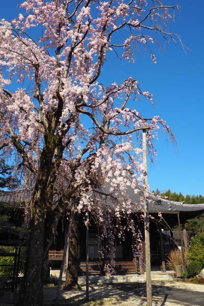 f:id:midorineko_cutter_mat:20200323183958j:plain