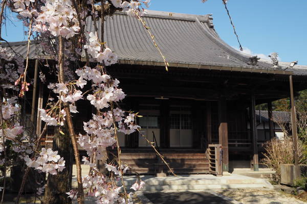 f:id:midorineko_cutter_mat:20200324140719j:plain