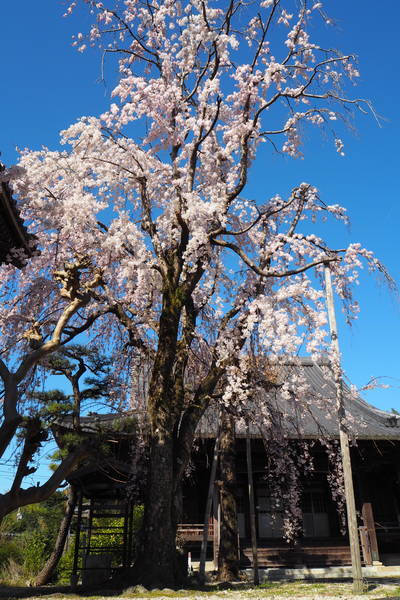 f:id:midorineko_cutter_mat:20200325145738j:plain