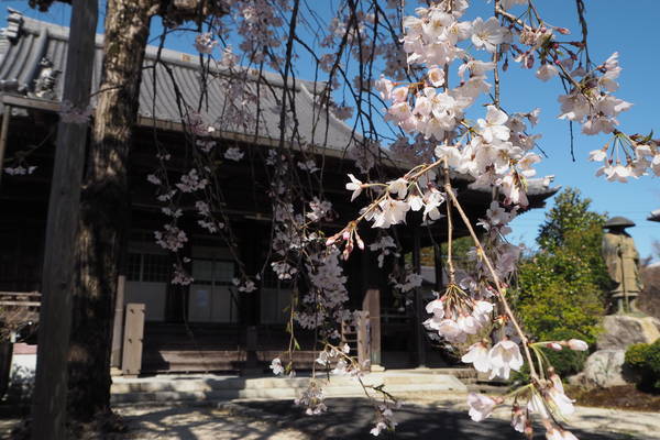 f:id:midorineko_cutter_mat:20200325145830j:plain