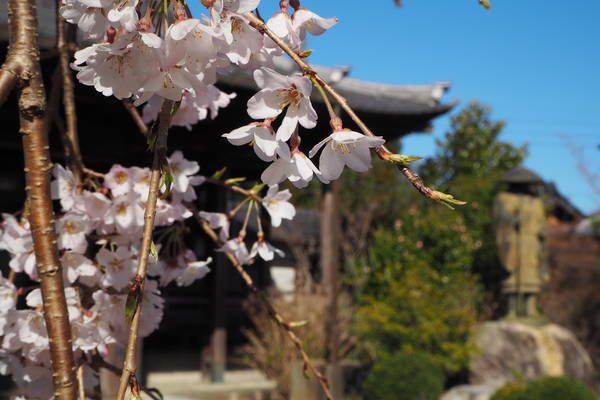 f:id:midorineko_cutter_mat:20200325152021j:plain