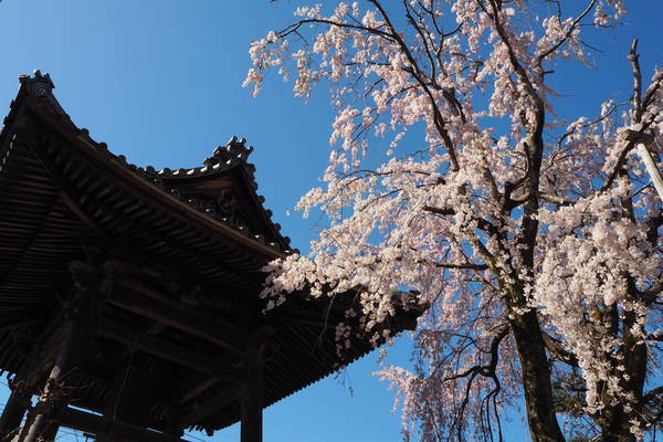 f:id:midorineko_cutter_mat:20200325152050j:plain