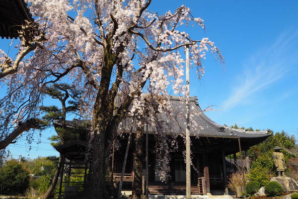 f:id:midorineko_cutter_mat:20200326210225j:plain