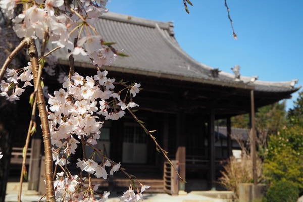 f:id:midorineko_cutter_mat:20200326210747j:plain