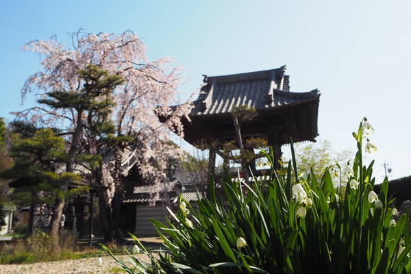 f:id:midorineko_cutter_mat:20200326211309j:plain