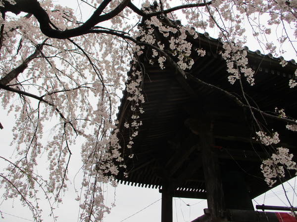 f:id:midorineko_cutter_mat:20200327134442j:plain