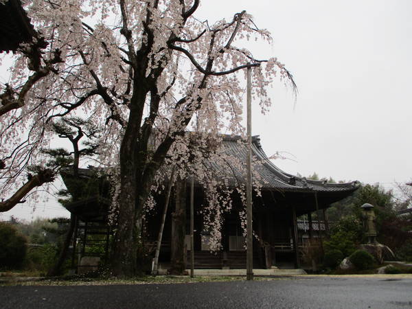 f:id:midorineko_cutter_mat:20200327134503j:plain