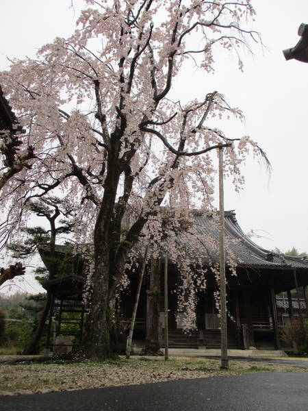 f:id:midorineko_cutter_mat:20200327134522j:plain