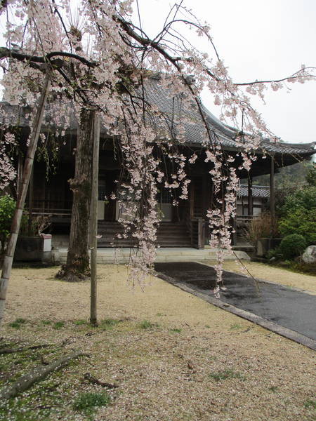 f:id:midorineko_cutter_mat:20200327134558j:plain