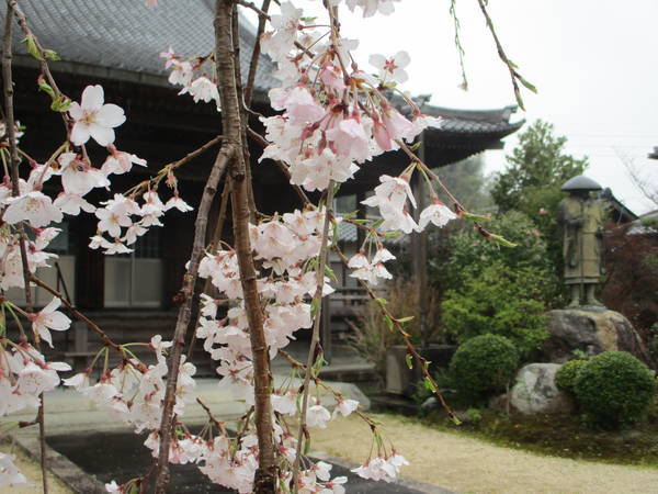 f:id:midorineko_cutter_mat:20200327134633j:plain