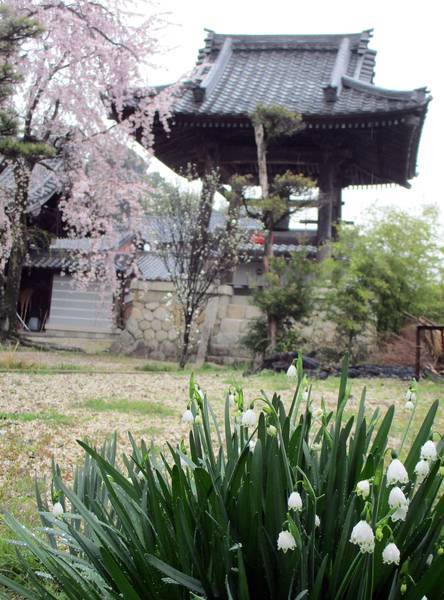 f:id:midorineko_cutter_mat:20200327135116j:plain