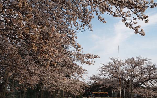 f:id:midorineko_cutter_mat:20200403212733j:plain