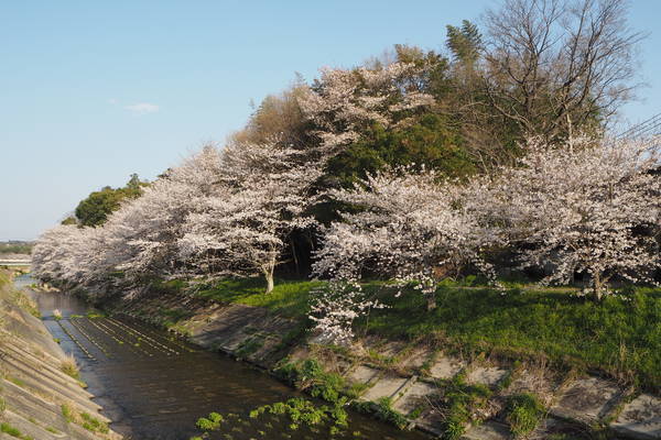 f:id:midorineko_cutter_mat:20200404212042j:plain
