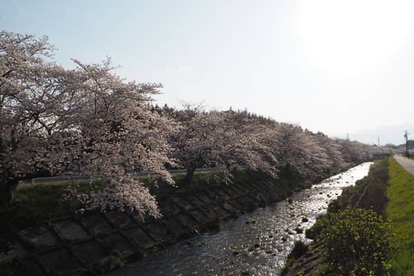 f:id:midorineko_cutter_mat:20200404212107j:plain