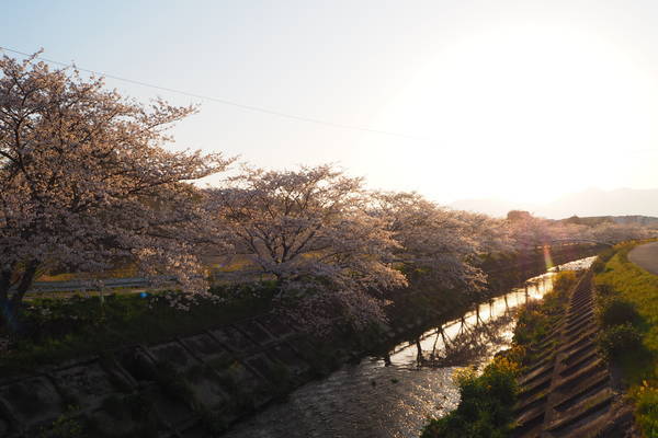 f:id:midorineko_cutter_mat:20200404234232j:plain