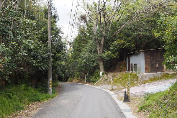 f:id:midorineko_cutter_mat:20200422172142j:plain