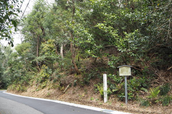 f:id:midorineko_cutter_mat:20200422172214j:plain