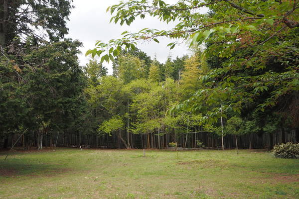 f:id:midorineko_cutter_mat:20200422172607j:plain