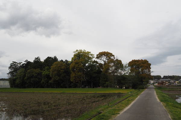 f:id:midorineko_cutter_mat:20200422181849j:plain