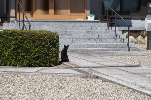 f:id:midorineko_cutter_mat:20200425195656j:plain