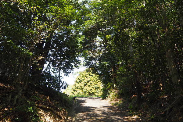 f:id:midorineko_cutter_mat:20200425201638j:plain