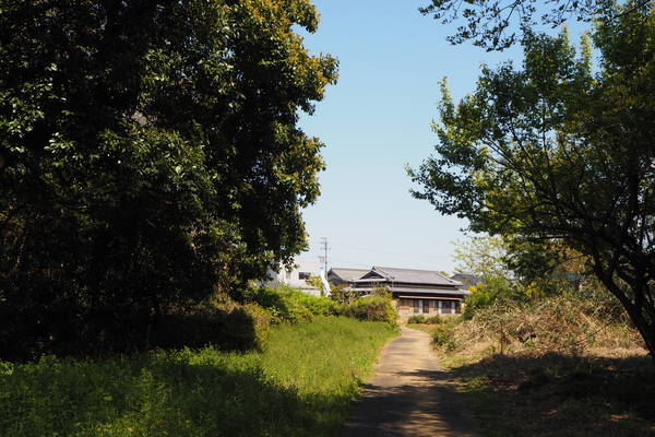 f:id:midorineko_cutter_mat:20200425201807j:plain