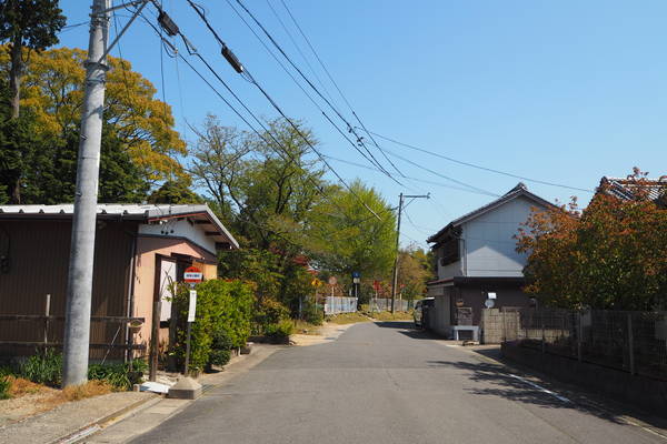 f:id:midorineko_cutter_mat:20200425202421j:plain