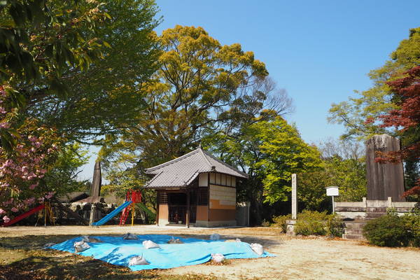 f:id:midorineko_cutter_mat:20200425204513j:plain