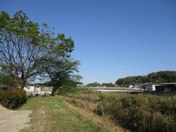 f:id:midorineko_cutter_mat:20200428213534j:plain