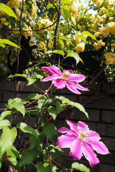 f:id:midorineko_cutter_mat:20200501133608j:plain