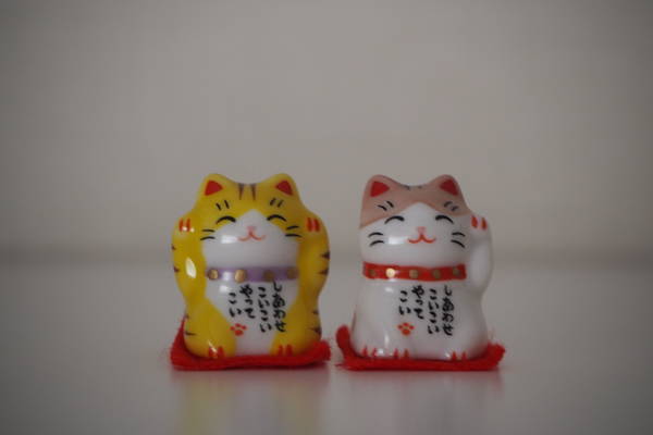 f:id:midorineko_cutter_mat:20200516125303j:plain f:id:midorineko_cutter_mat:20200516125303j:plain