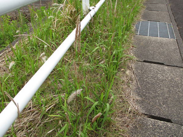 f:id:midorineko_cutter_mat:20200520104026j:plain