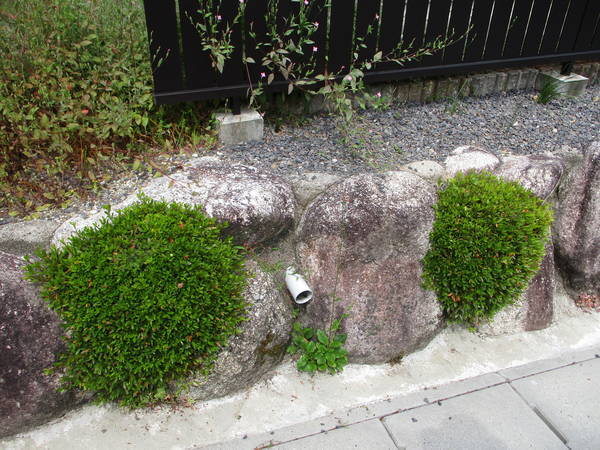 f:id:midorineko_cutter_mat:20200604164611j:plain f:id:midorineko_cutter_mat:20200604164611j:plain