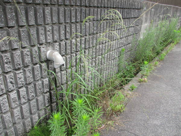 f:id:midorineko_cutter_mat:20200703143056j:plain