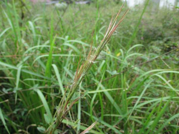 f:id:midorineko_cutter_mat:20200919234937j:plain