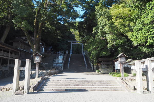 f:id:midorineko_cutter_mat:20200929173914j:plain