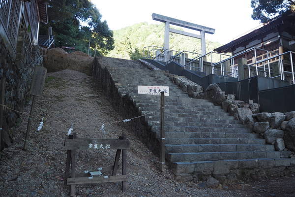 f:id:midorineko_cutter_mat:20200929173930j:plain