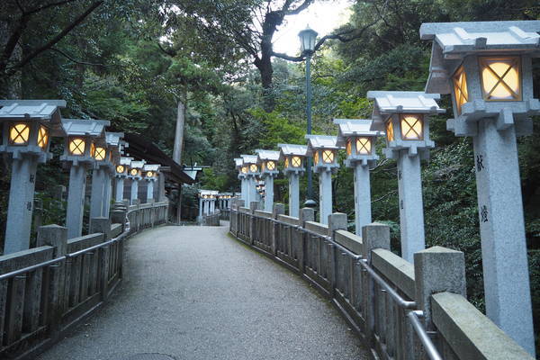 f:id:midorineko_cutter_mat:20200929174048j:plain