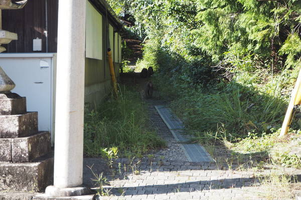 f:id:midorineko_cutter_mat:20200929180437j:plain