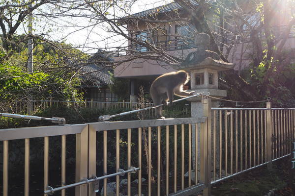 f:id:midorineko_cutter_mat:20200929182718j:plain